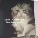 damn_ithurts damn_ithurts