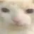 cat_bruh