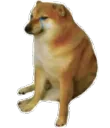 8716_CheemsDoge
