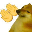 9668_dogPray