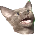 jaytuu1Mistyyell