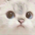 AUcatstare Discord emoji