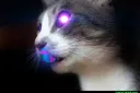 jannpfp
