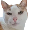 skittlelookingatyou skittlelookingatyou