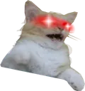 MittensWoke