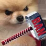 dm_Ban