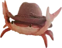 yeeClaw