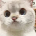 catahm Discord Emoji