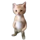 y6KittyUp Discord Emoji