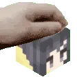 sychicpet2