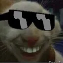 catsmilebutcooler
