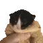 hellohellohellohello