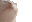 a_sp_cat_vibe Discord emoji