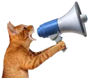 alooo