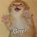 mishigrrr_fn Discord emoji