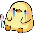sadduck