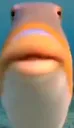 hubert
