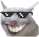 smilecat_swag