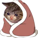 sadcomfcatto