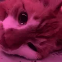 tinycry