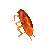 3507_RainbowDancingCockroach