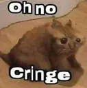 OhNoCringe
