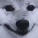 Smiledog