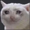 sorbsmf