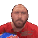 Spectate
