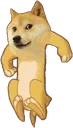 8884_doge_elonmusk