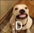 feli