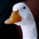 gooseHAH