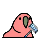 ppbanparrot