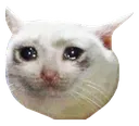 Cry Discord Emoji
