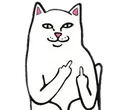 Cat Finger Discord Emoji
