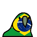 BrasilParrot