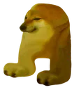 amomsus