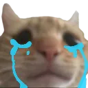 swagsadcry