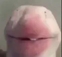 mewhenthe mewhenthe