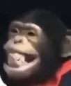 monke2