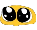 Flushd