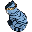 CFargusangy