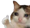 sadcat Discord Emoji