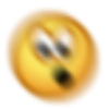 E555 Discord emoji
