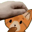 pettheredpanda