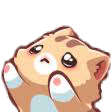 cat_puppyeyes2 Discord emoji