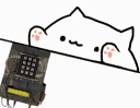 BomboCat Discord emoji