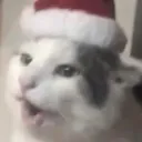 walnutPOG