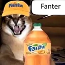 fanter