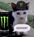 monsert